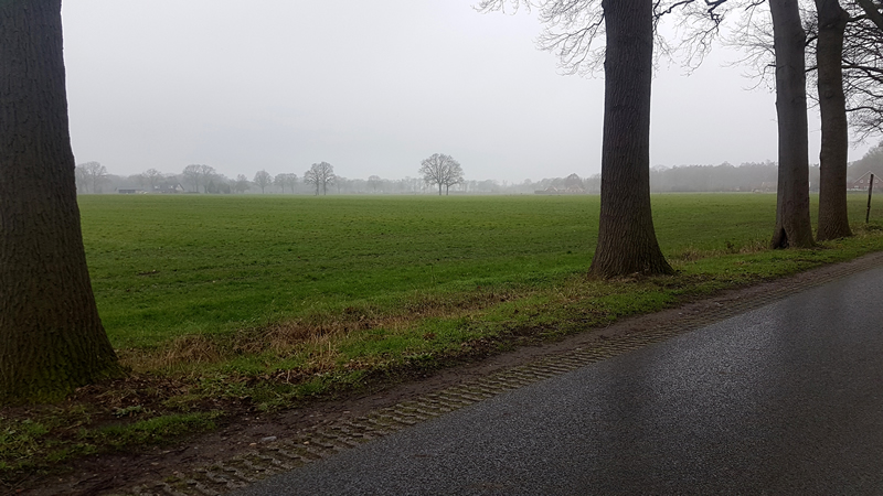 Road by Deniece Geverink